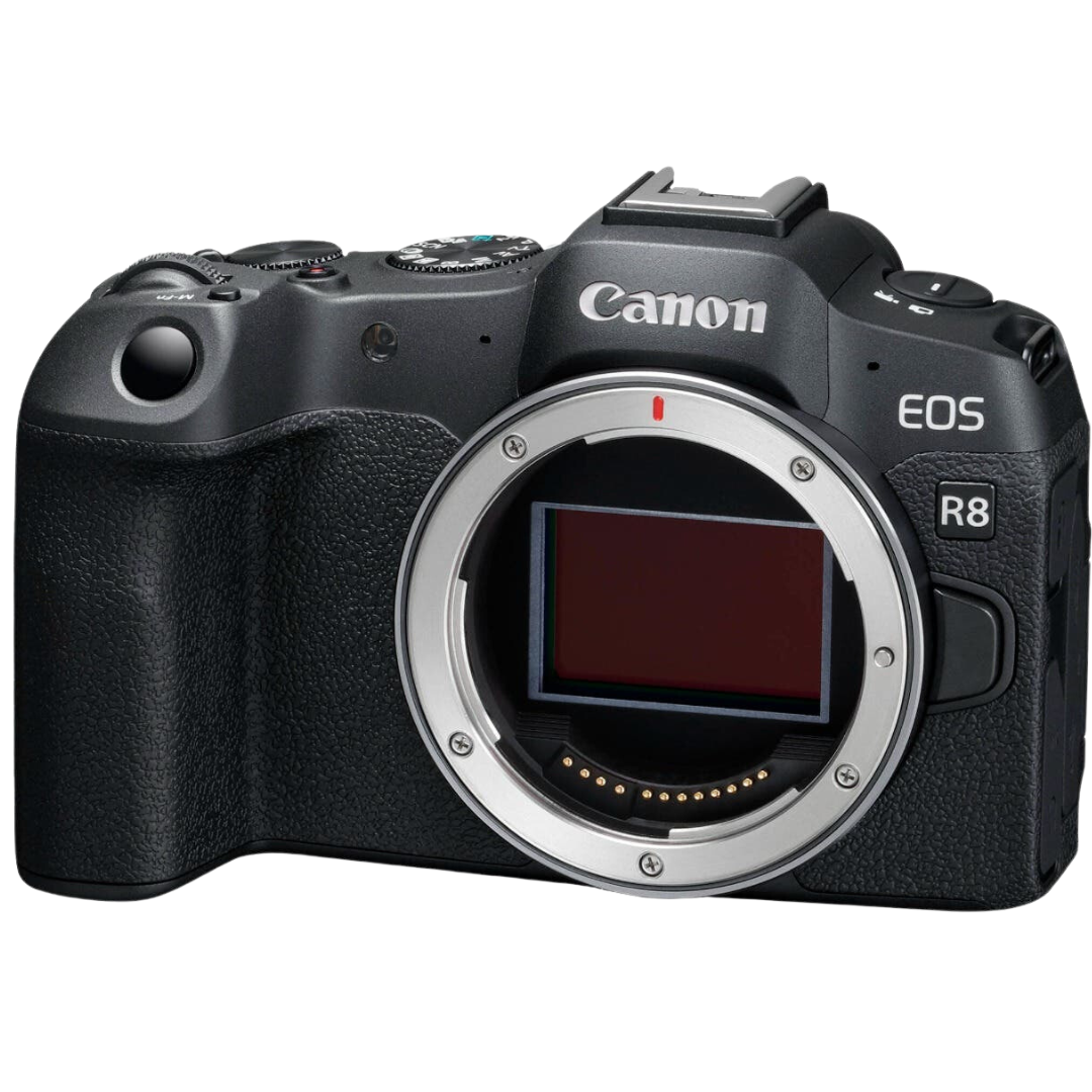 Canon EOS R8 Mirrorless Camera (Body Only)